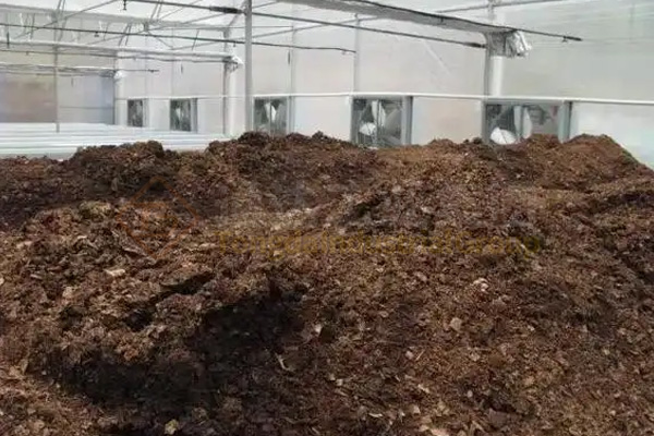 臭氣熏天“牛糞村”的蛻變:畜糞變身有機(jī)肥,成為種植戶的香餑餑