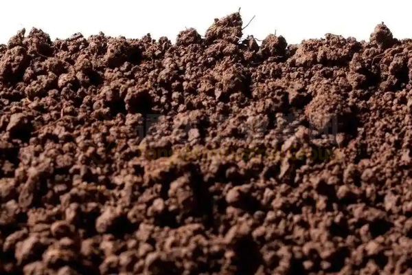 蚯蚓養(yǎng)殖與秸稈牛糞廢棄物綜合利用，制成高效蚯蚓糞有機(jī)肥，助力鄉(xiāng)村振興建設(shè)