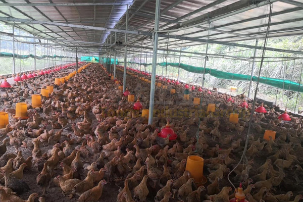 養(yǎng)殖戶年產(chǎn)一萬噸有機(jī)肥生產(chǎn)線需多少錢